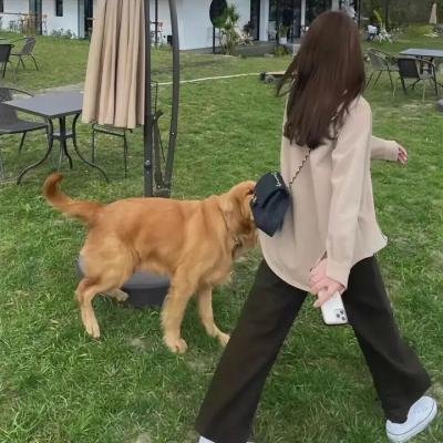良医第七季