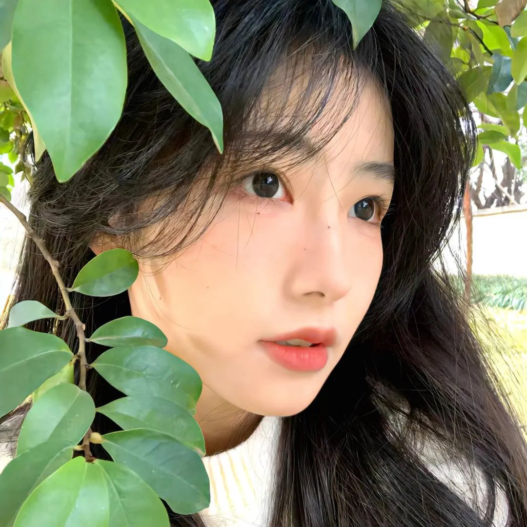 月光花谋杀案